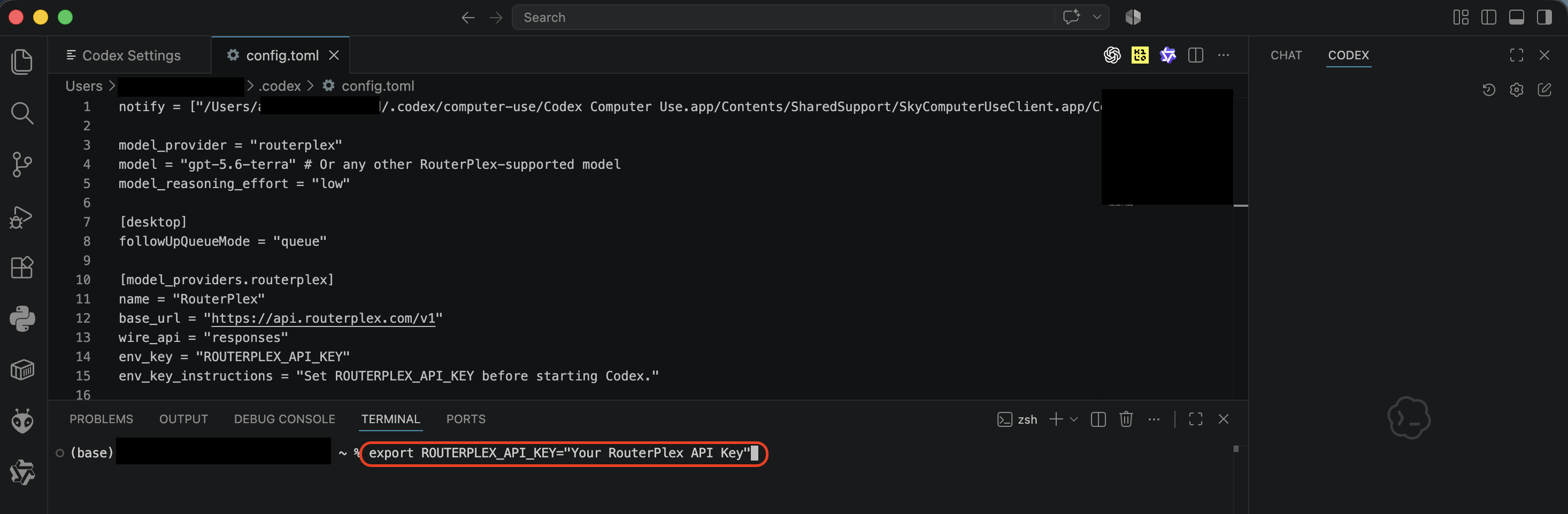 Setting ROUTERPLEX_API_KEY in the integrated terminal.