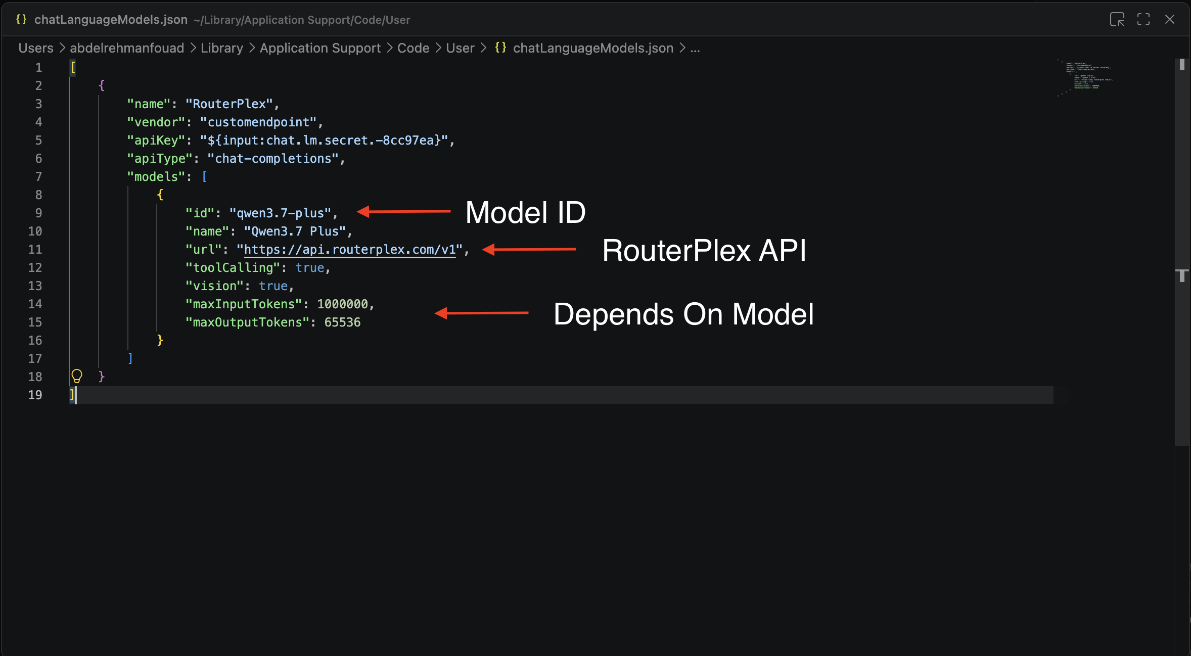 Editing chatLanguageModels.json: id is the model ID, url is the RouterPlex API, and the token limits depend on the model.